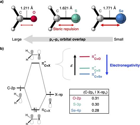 Chalcogen Atom Size: A Key Parameter in Modulating Carbonyl 